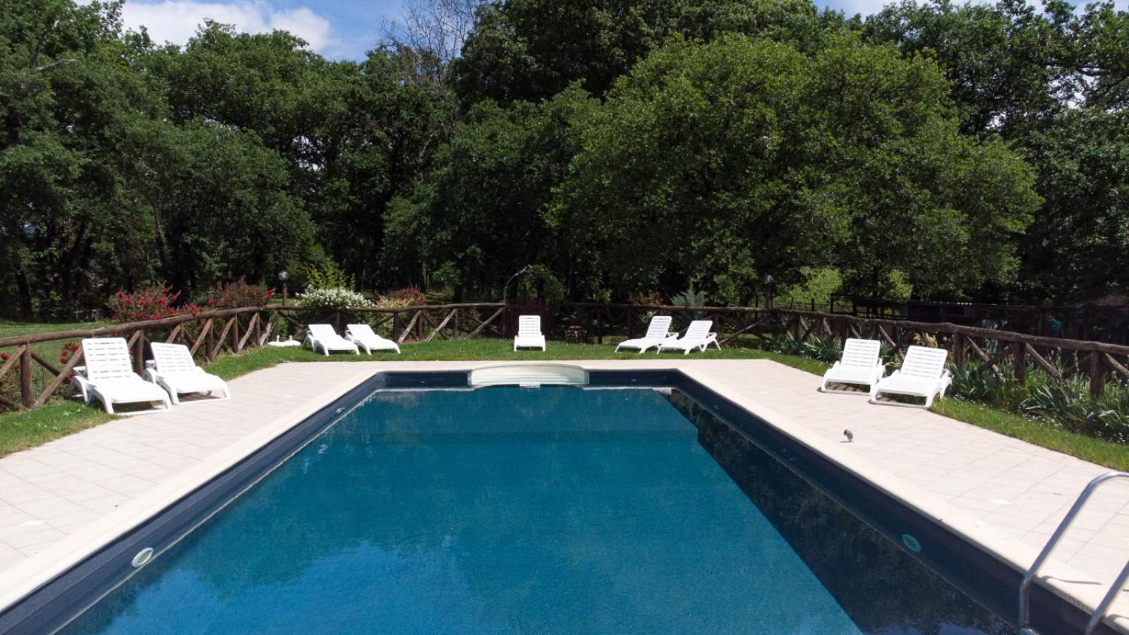 Agriturismo Le Baccane Vinci Dış mekan fotoğraf