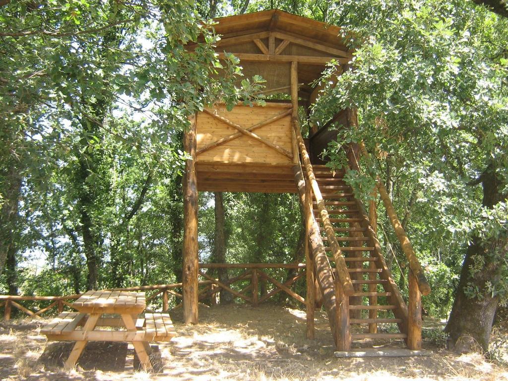 Agriturismo Le Baccane Vinci Dış mekan fotoğraf